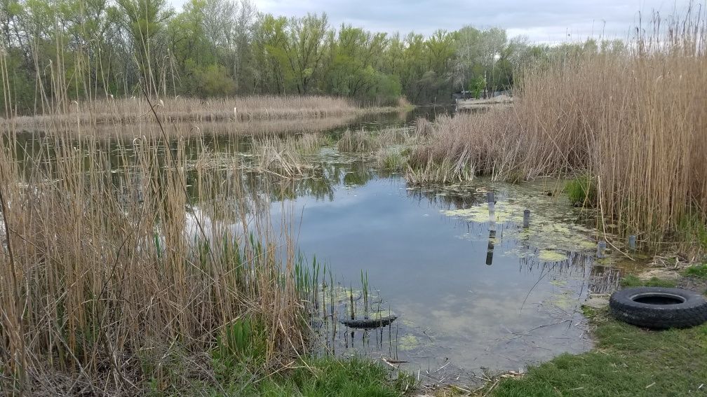 Дача возле  воды