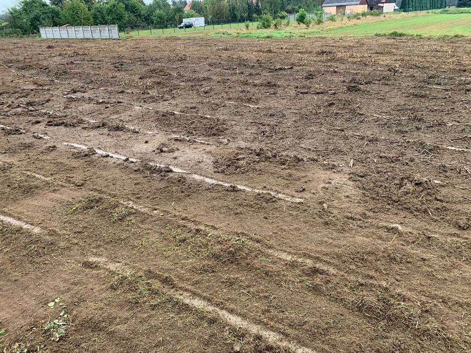 Karczowanie, czyszczenie działek, mulczer leśny usługi, wycinka drzew,