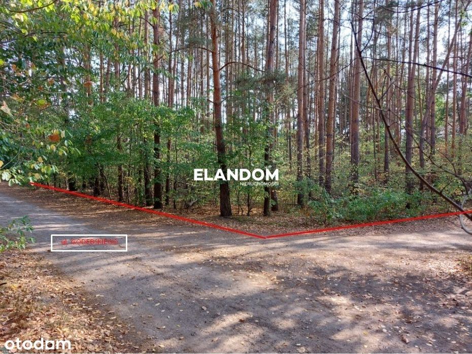 Duża działka ze starodrzewem | WZ na dwa domy