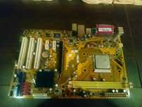 Płyta główna ASUS M2N-XE + Sempron AMD 2800+ + DDR2