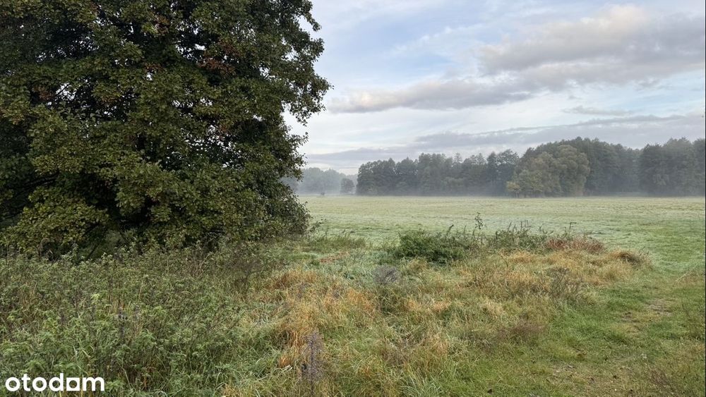 Sprzedam działkę budowlaną w Olimpinie– bezpośrednio od właściciela