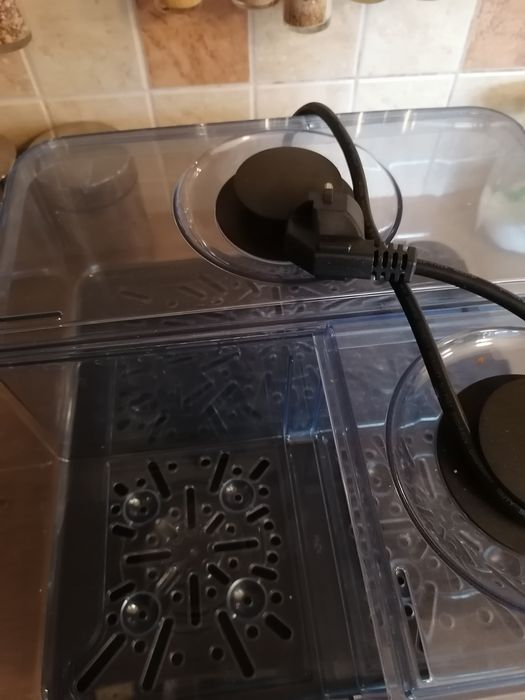 Parowar morphy Richards