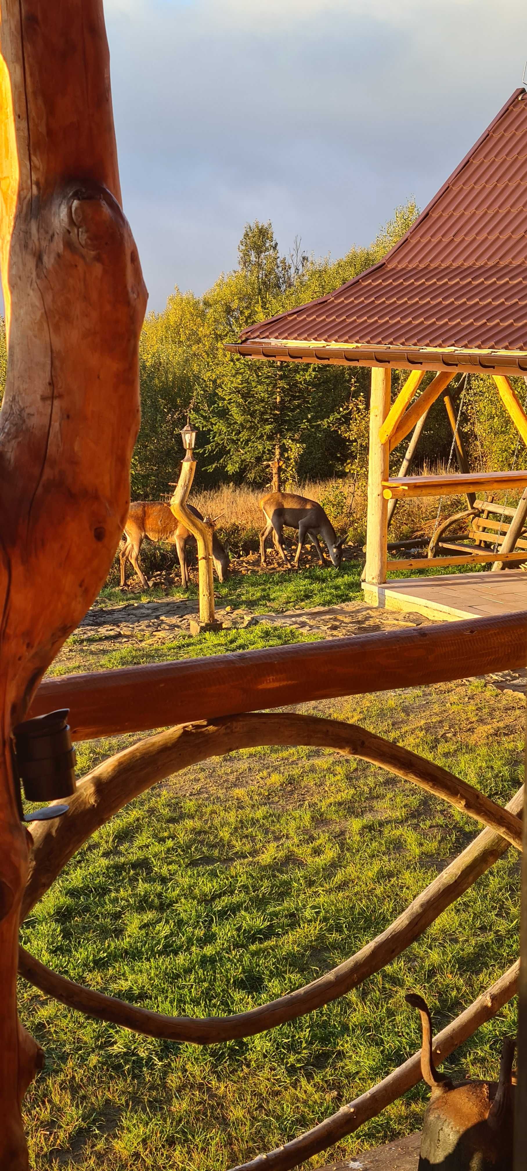 Domek do wynajęcia, bacówka w Gorcach pod Turbaczem.