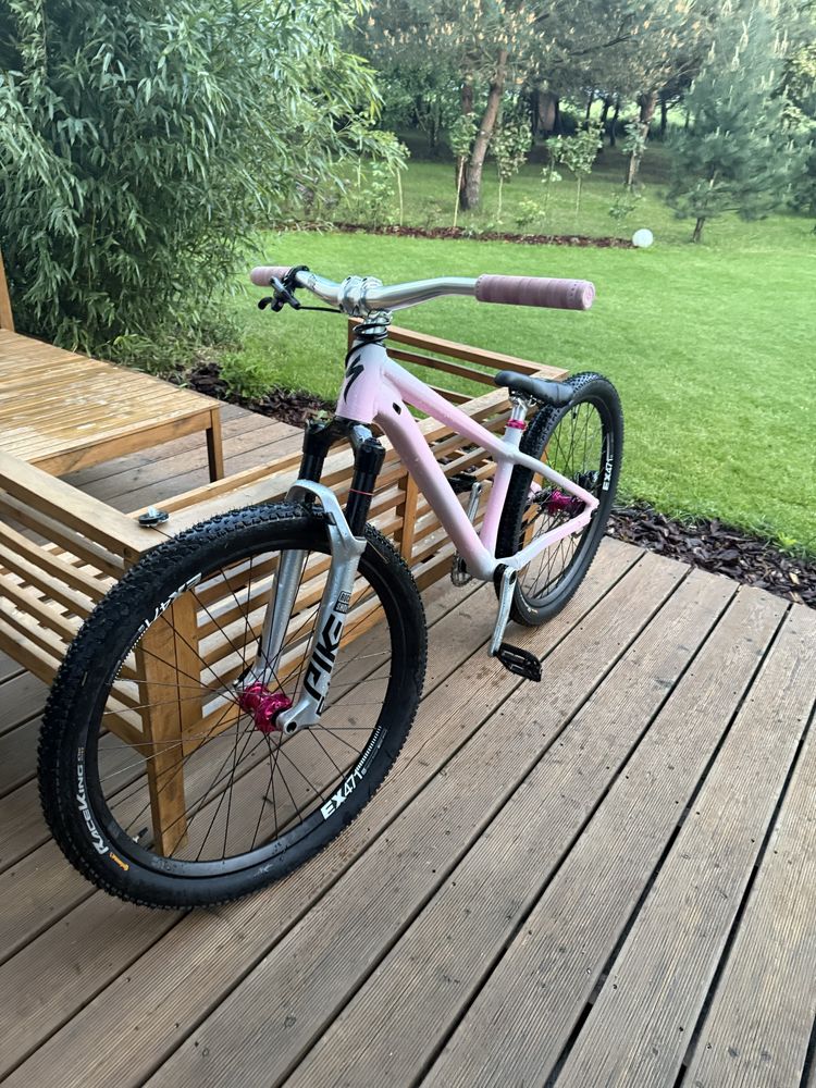 specialized p3 (custom)