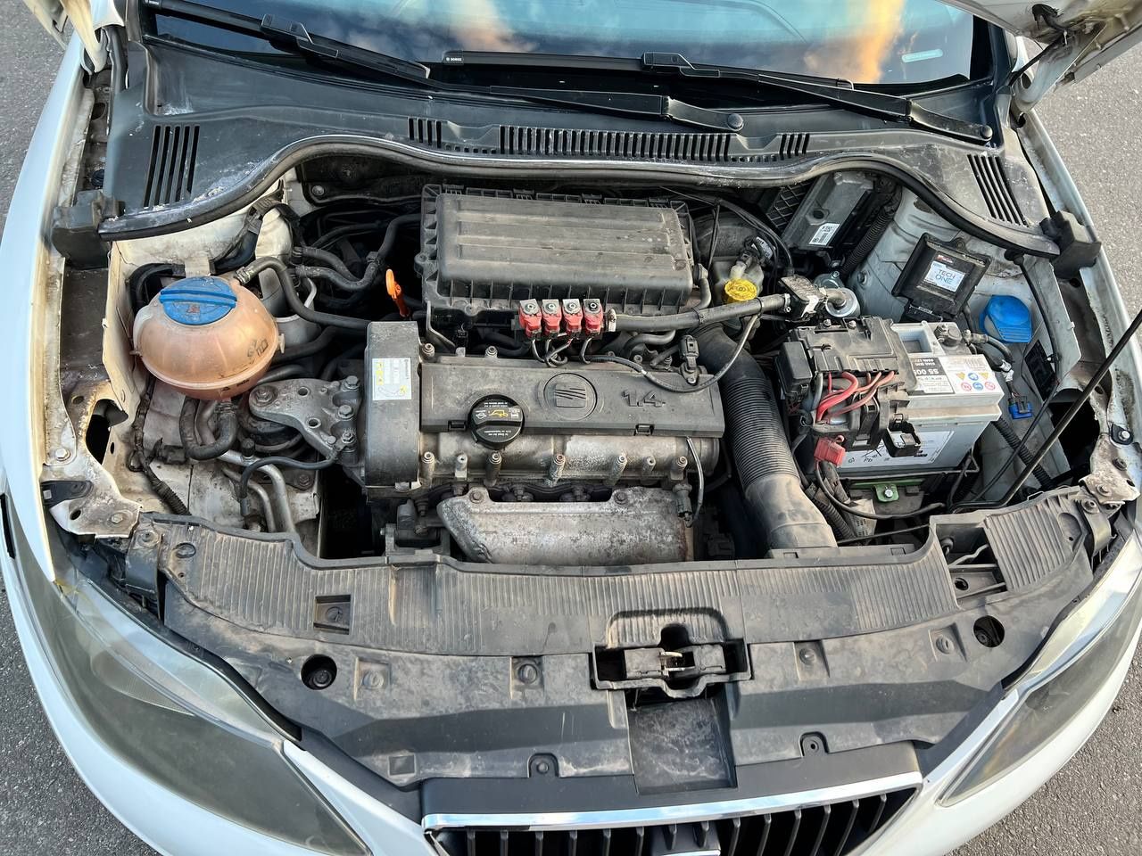 Seat Ibiza 6j 2010 год, торг