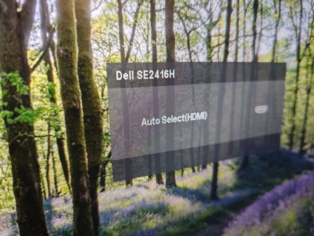 Monitor Dell SE2416H 24 cale