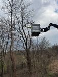 Wycinka przycinanie drzew czyszczenie działek rębak karczowanie Kraków