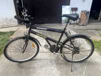Rower gorski Speedent Quasar