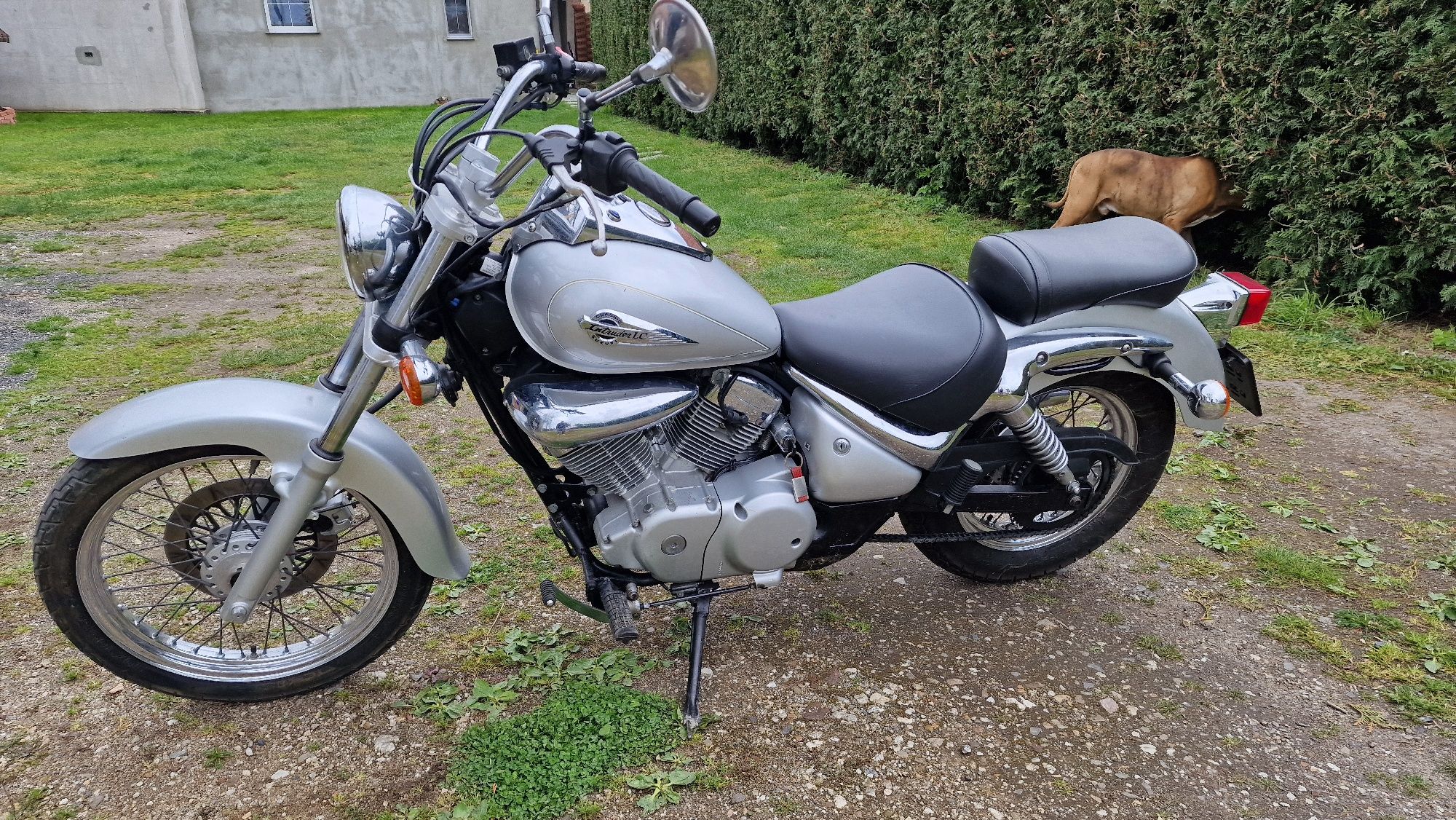 Suzuki Iintruder 125