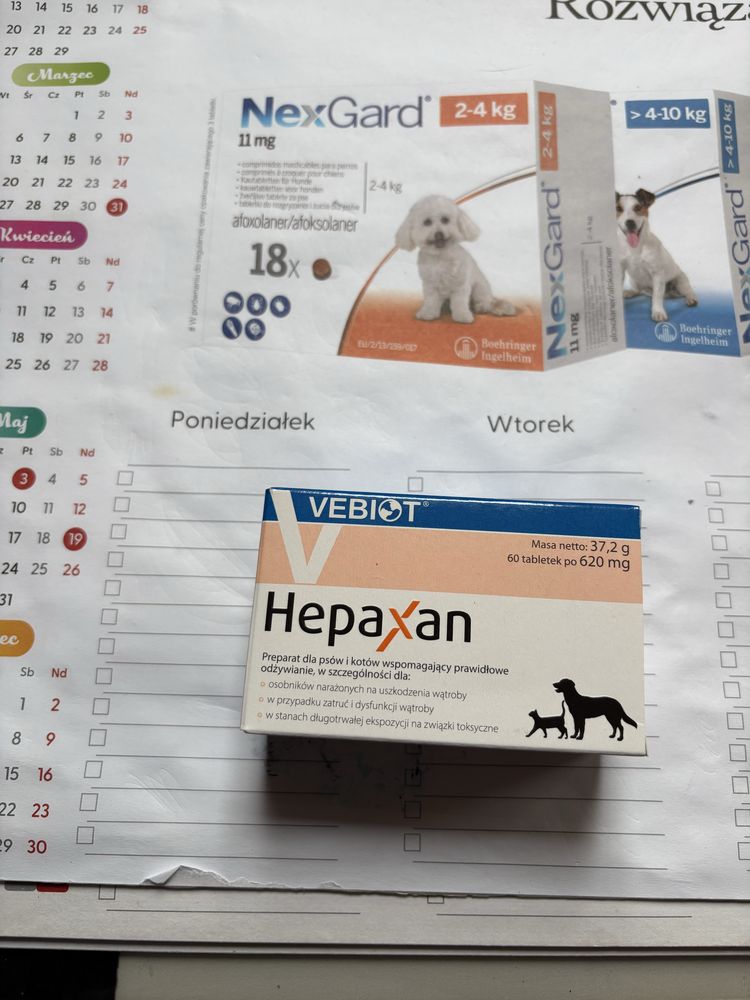 Hepaxan 60 kapsułek w opakowaniu