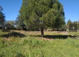 Terreno rustico isolado para venda castelo branco  (Benquerenças)