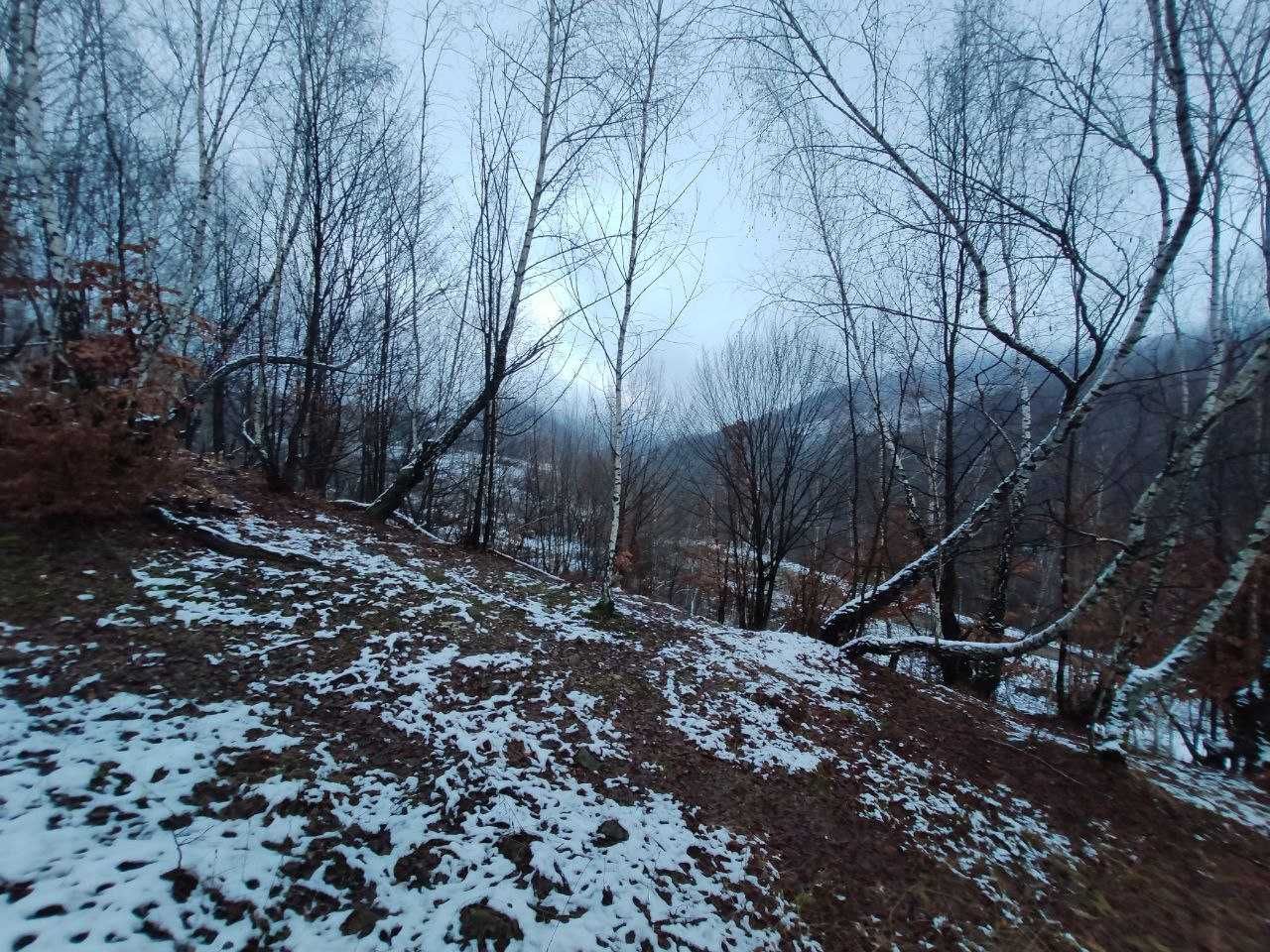 Земельна ділянка в Закарпатській області в селі Вишка