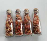 Mini garrafas de conchas da praia de Moledo do Minho