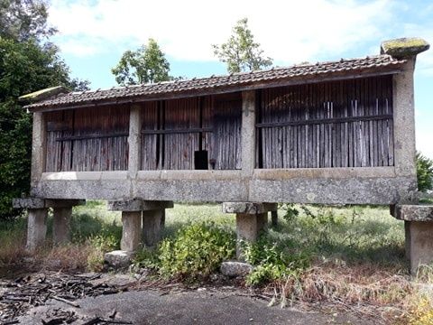 Quinta com projeto de recuperação