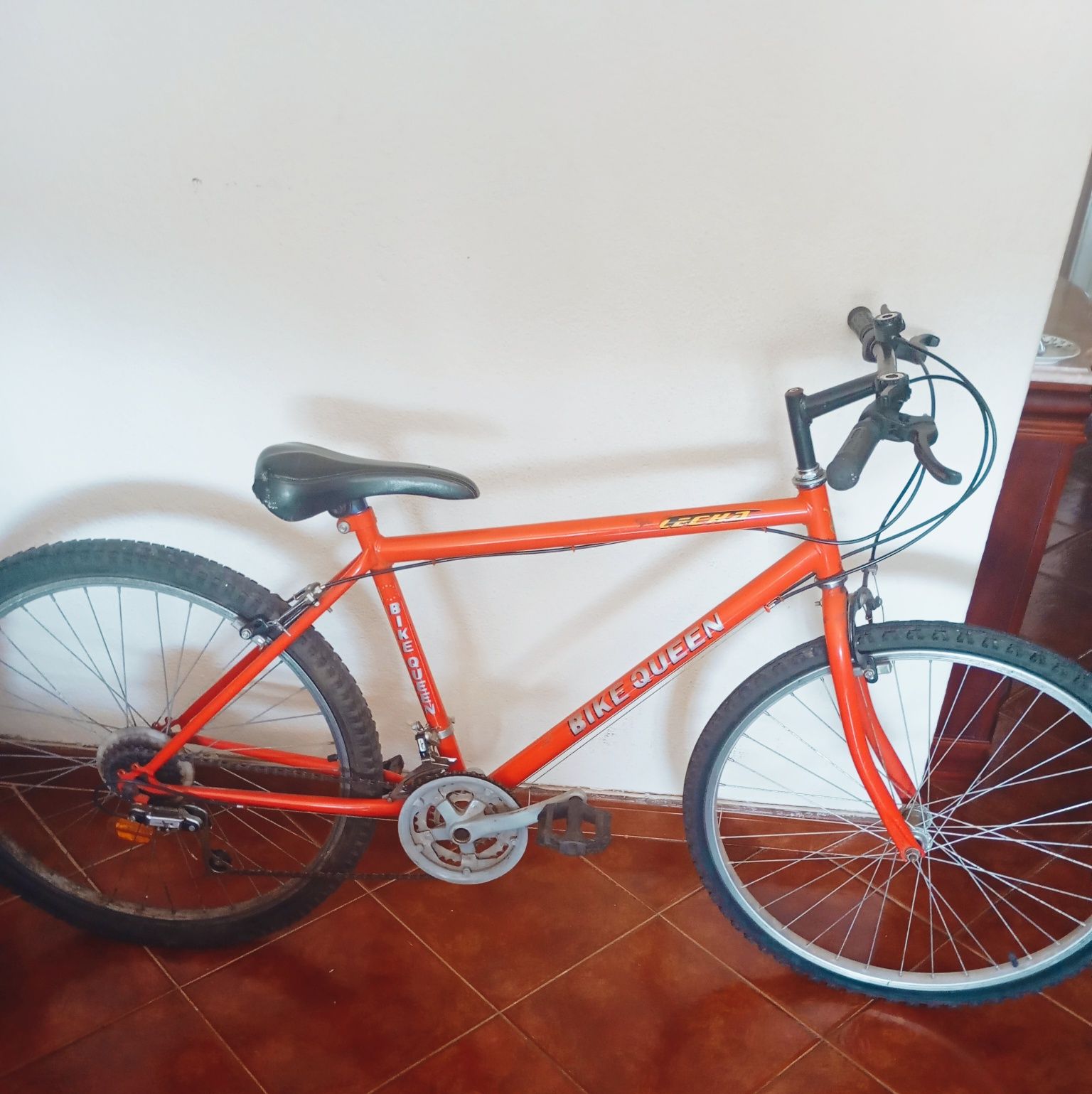 Vendo 2 bicicletas por 200€, em bom estado.