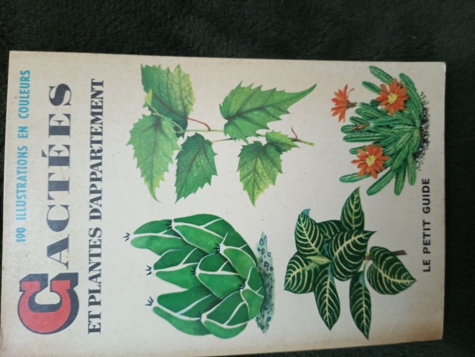 Cactees et plantes d'appartement - un petit guide de la serie ... 1966