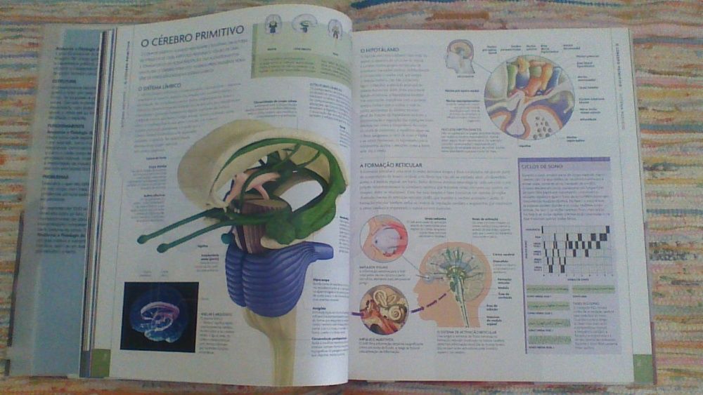 Livro " ANOTOMIA e Fisiologia do CORPO HUMANO"