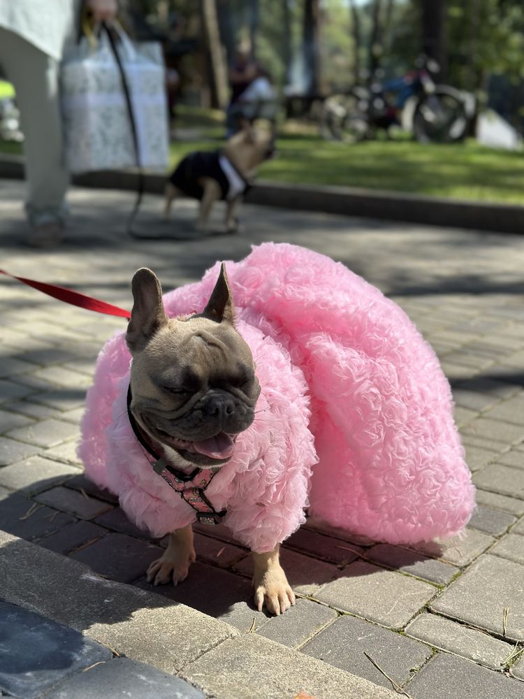Плаття(можна носити в трьох варіантах)