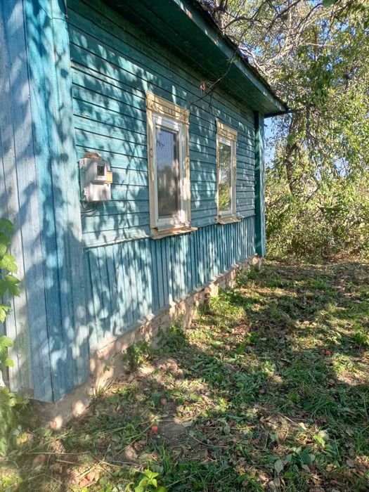 Продам будинок в с.Боромики