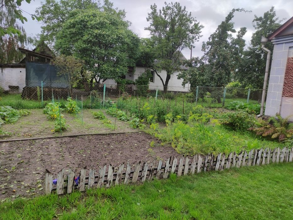 Будинок з присадибною ділянкою