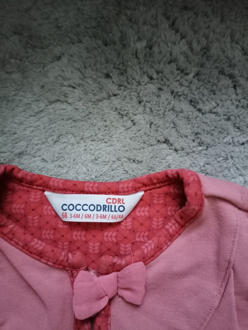 Bluza Coccodrillo 68