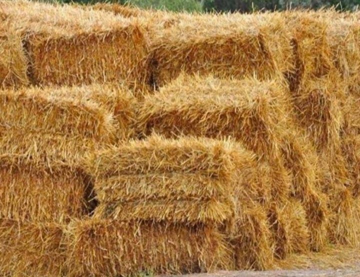 Продаю тюки соломи САМОВИВІЗ