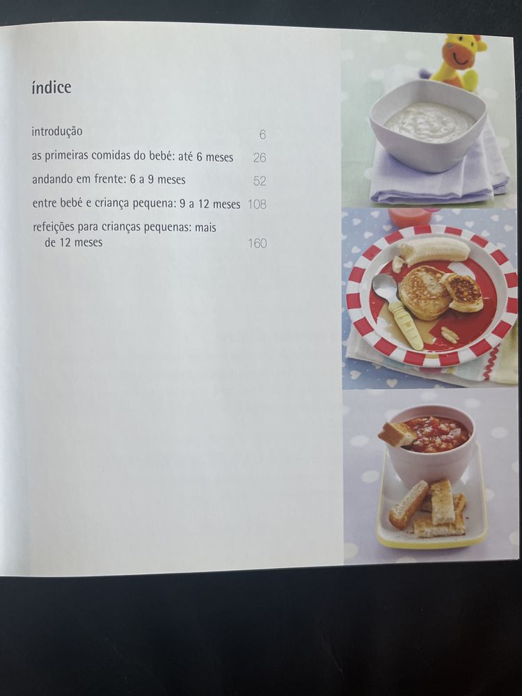 500 receitas para bebés e crianças