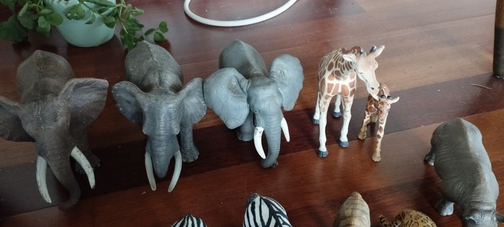 Animais Savana Schleich