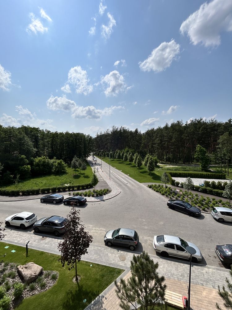 Нова євро2к є, вид на ліс, ЄОселя так!