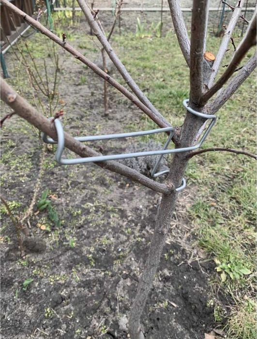 Кліпса скоба поперечна для фіксації гілок