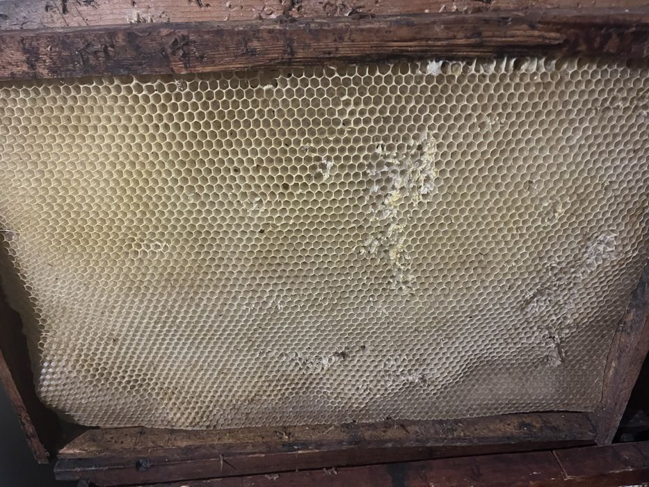 Продам суш рамка 300 дадан