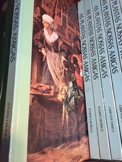 As minhas amigas (plantas)