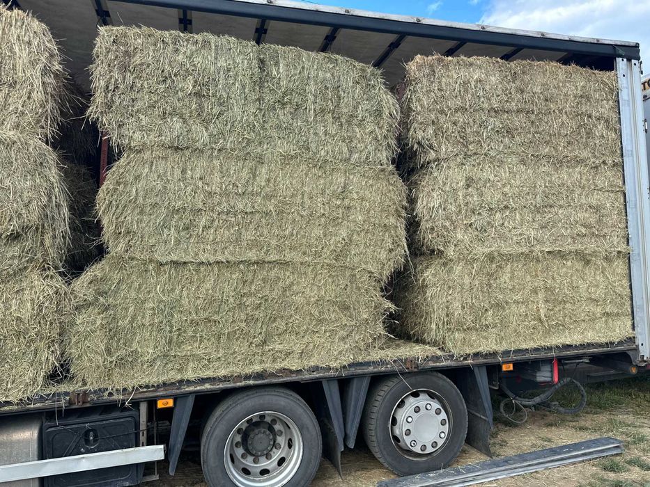 siano okrągłe bele, duża kostka oraz mała kostka TRANSPORT CAŁA POLSKA