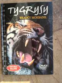 Tygrysy - władcy mokradeł - płyty DVD