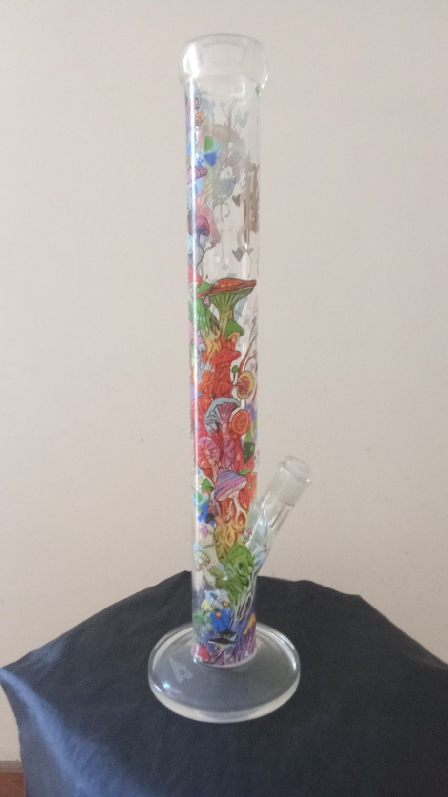 Cogumelos multicolor