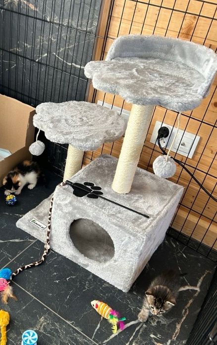 Drapak dla kota NOWY domek legowisko zabawki