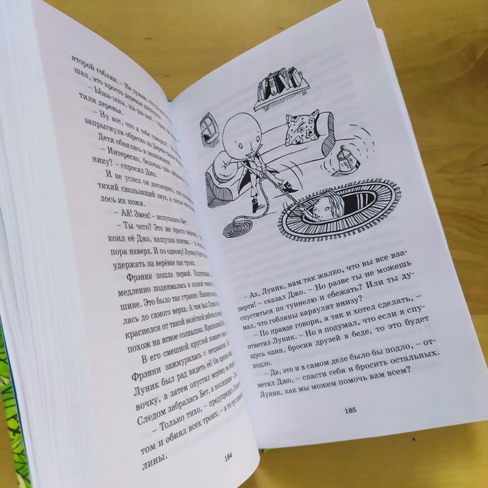 Zaczarowany Las E. Blyton /Książki Po Rosyjsku