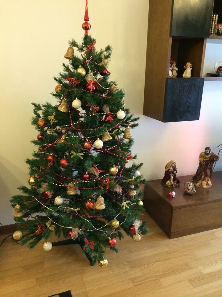 Árvore de Natal sem decoração