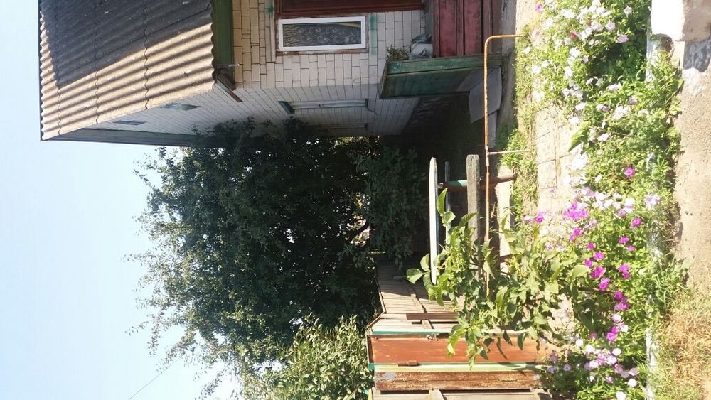 Продаж Будинку.в Чернігівський області Ічня.