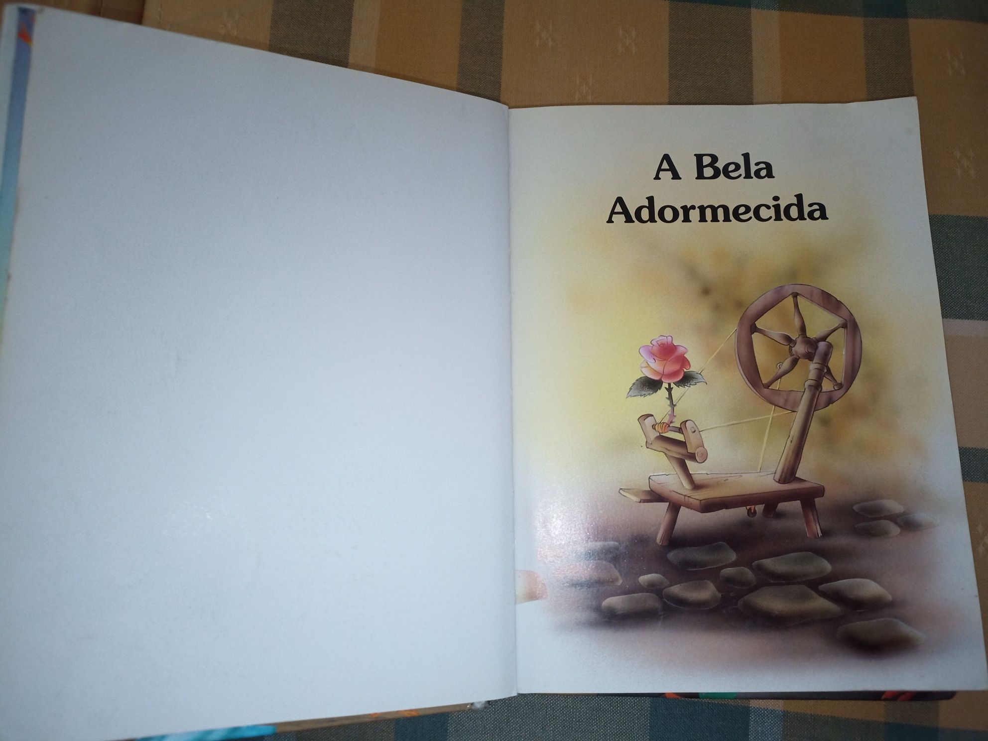 Livro.  infantil