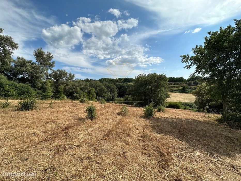 Terreno rustico com 11000m2 Não é permitida construção