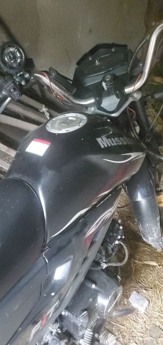 Продам мустанг фіт 2