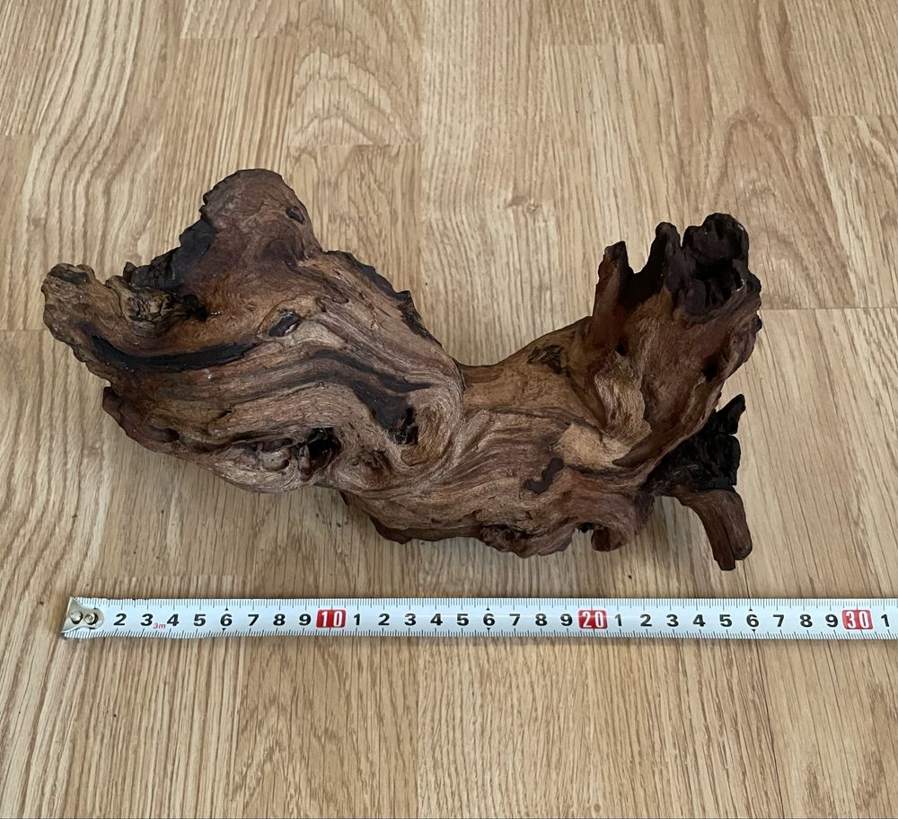 Terrarium z wyposażeniem pionowe 40/40/60