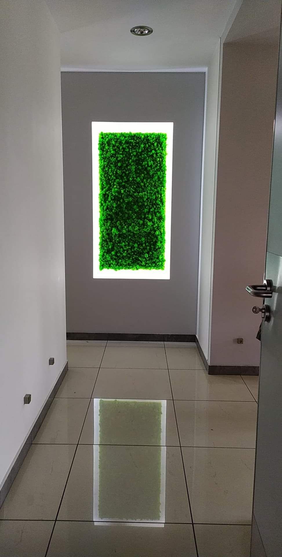 Obraz z mchu mech chrobotek reniferowy zielony obraz dekoracja