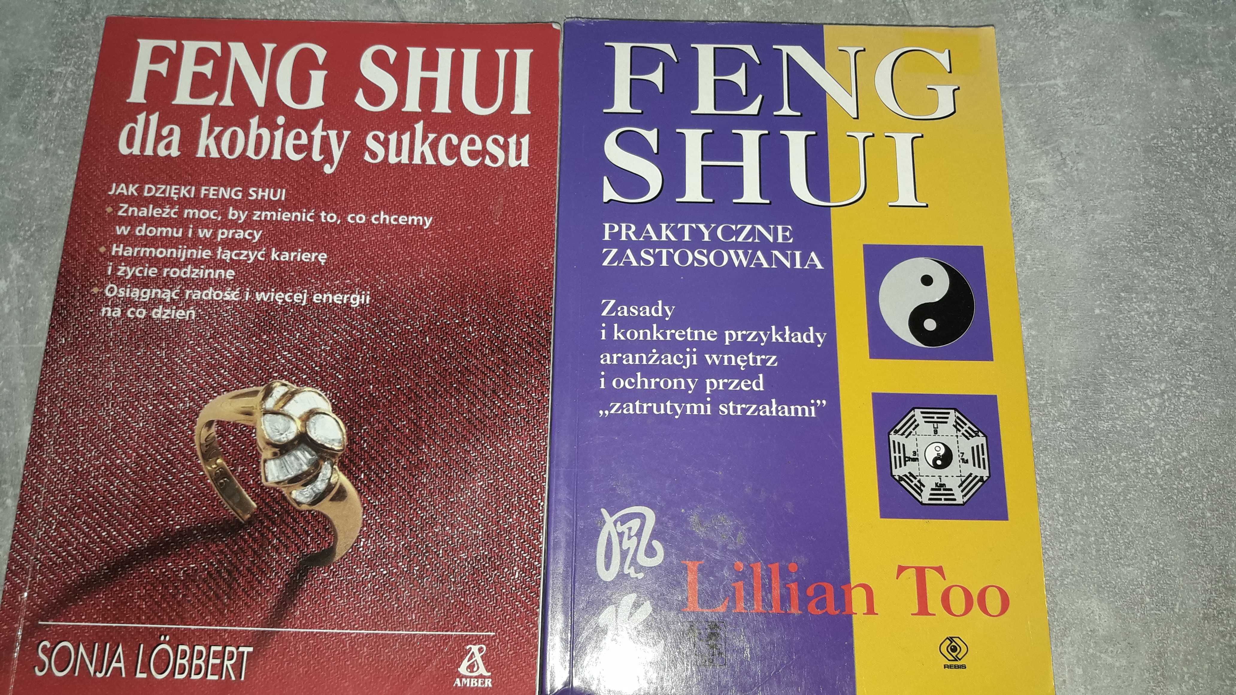 Feng Shui cena za 2 książki.