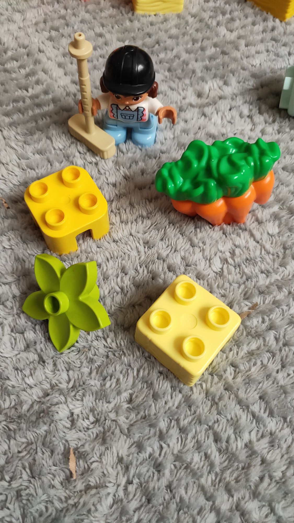 Klocki LEGO Duplo 10951 konie