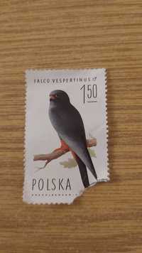 Znaczek pocztowy Falco Vespertinus kobczyk