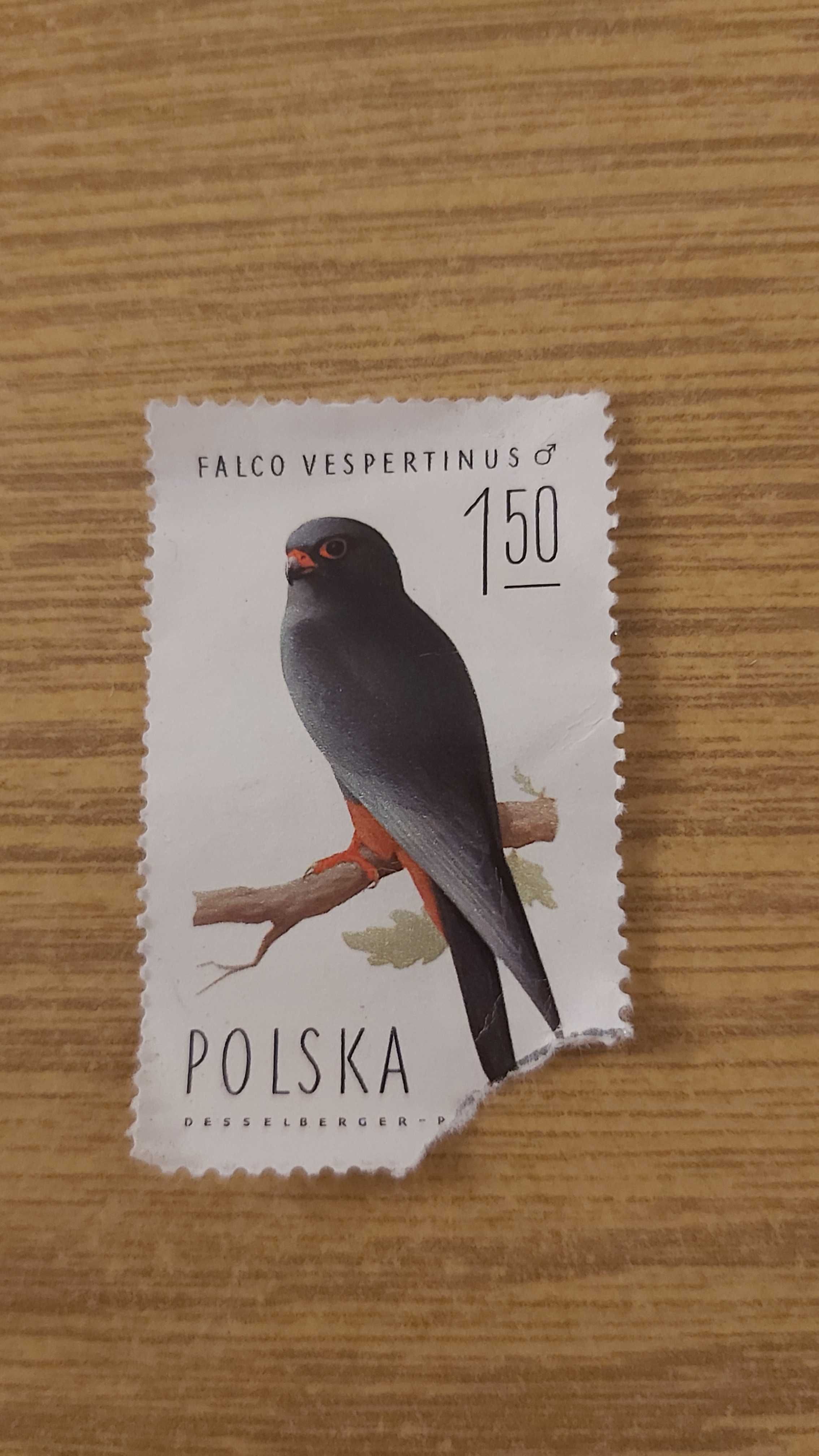 Znaczek pocztowy Falco Vespertinus kobczyk