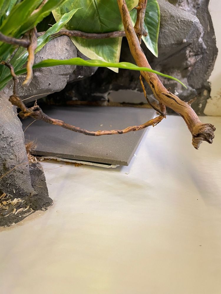 Terrarium dla węża 100x50x50