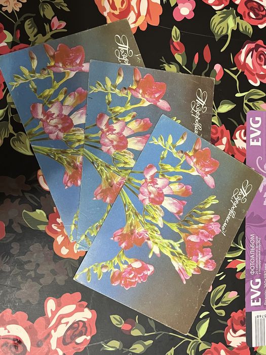 Новые чистые открытки СССР!